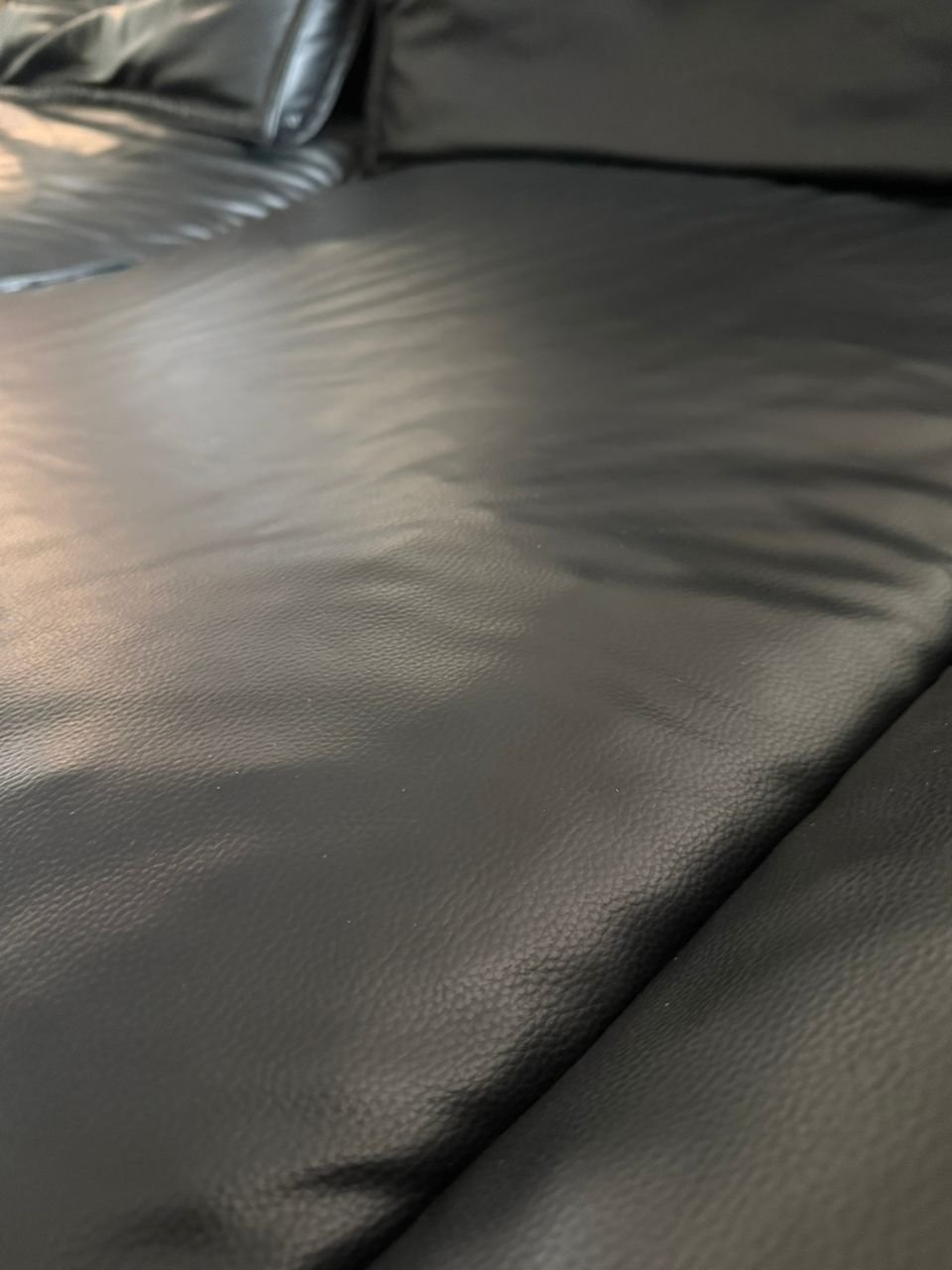 WhatsApp Image 2026-02-05 at 15.13.22